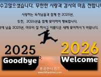 헤드라인 기사 이미지